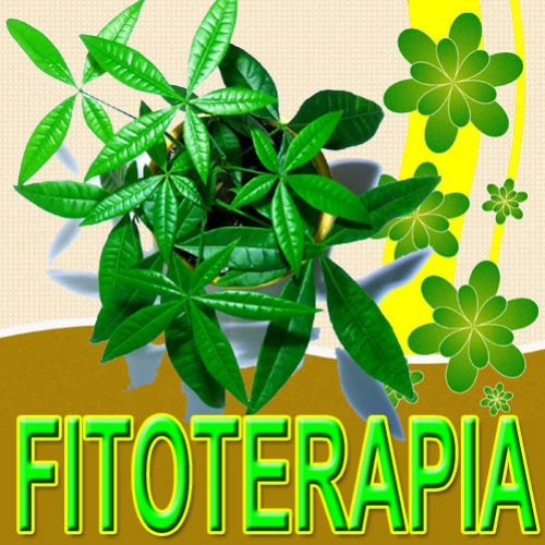 Fitoterapia